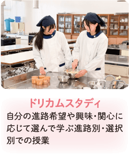 ドリカムスタディ