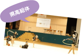 県高総体