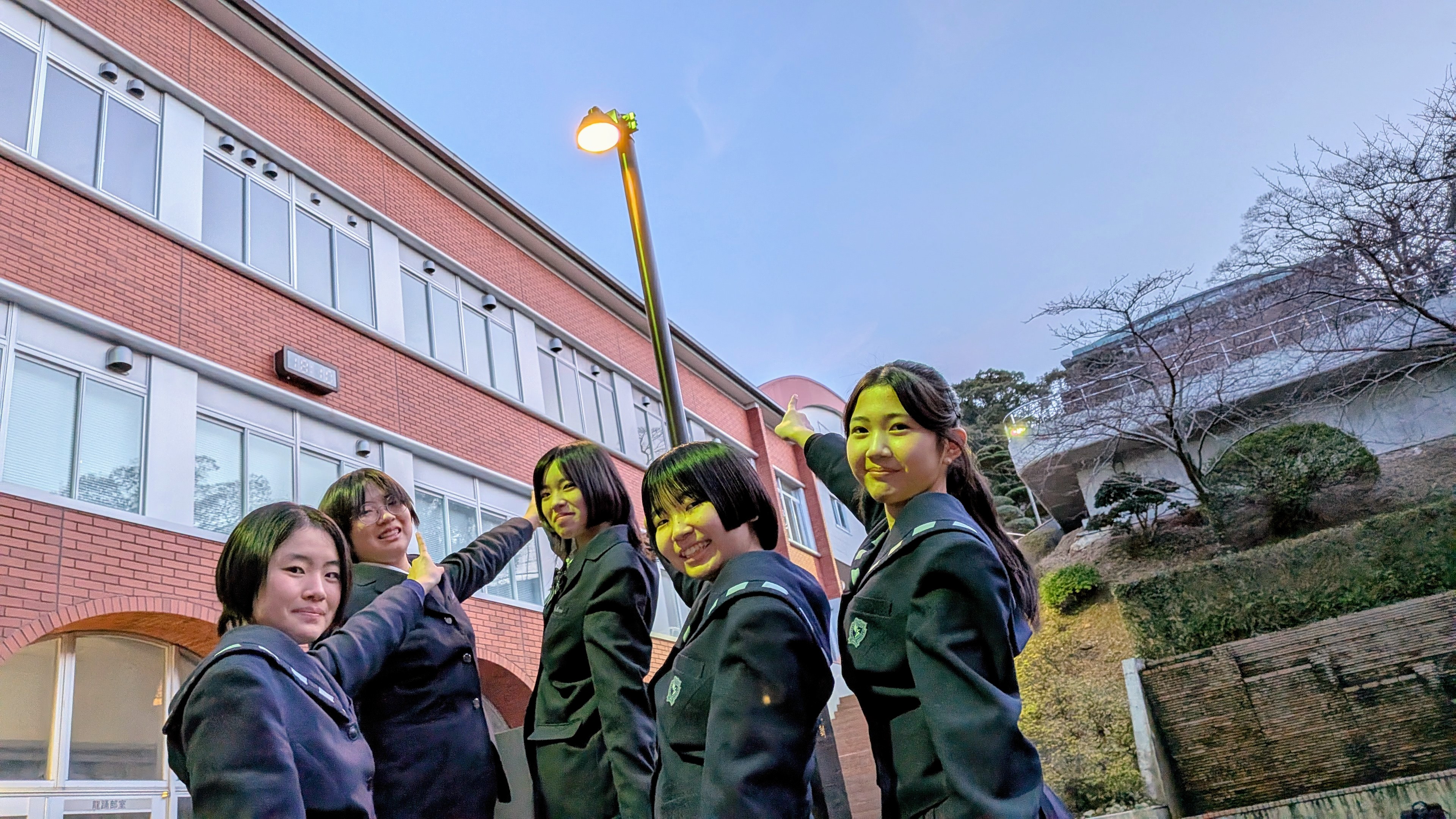 クリアランス街灯を設置しています！